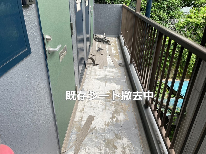 神奈川県横浜市神奈川区　階段廊下防水工事　既存シート撤去中