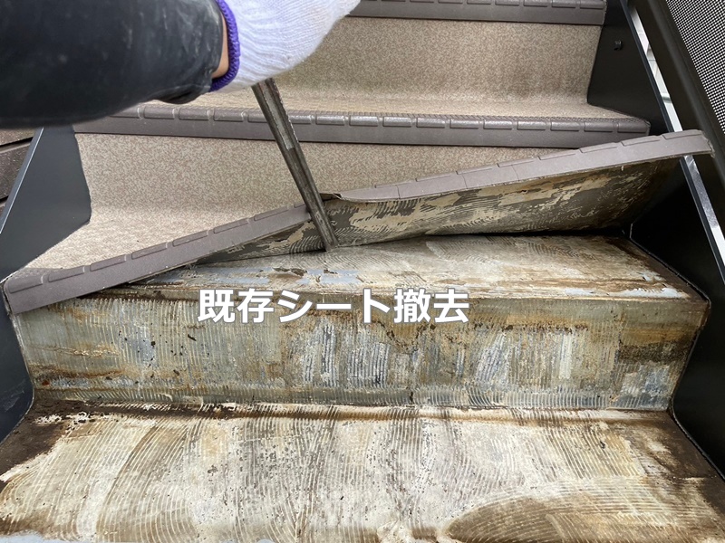 既存シート撤去