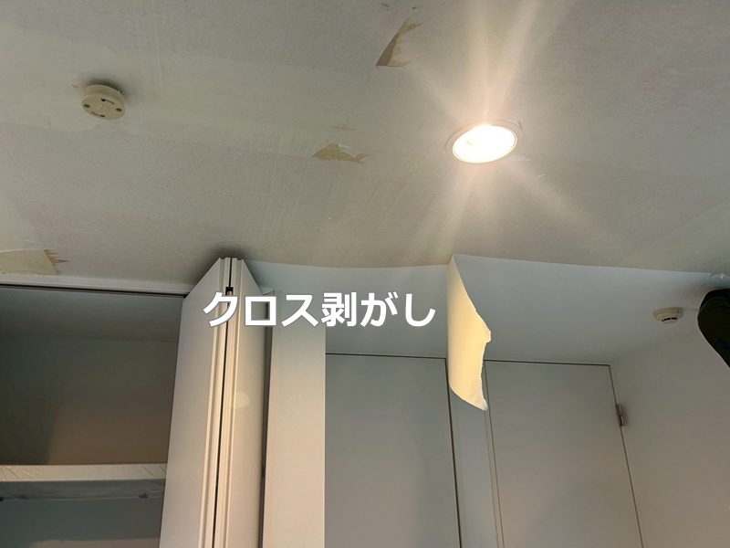 クロス剥がし　カルクウォール