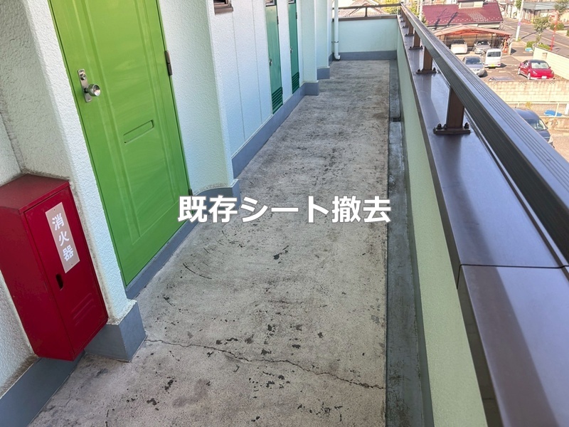 既存シート撤去