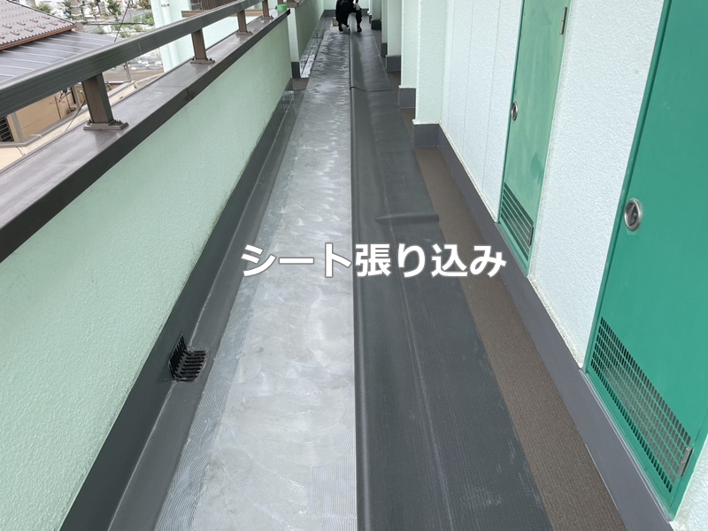 シート張り込み