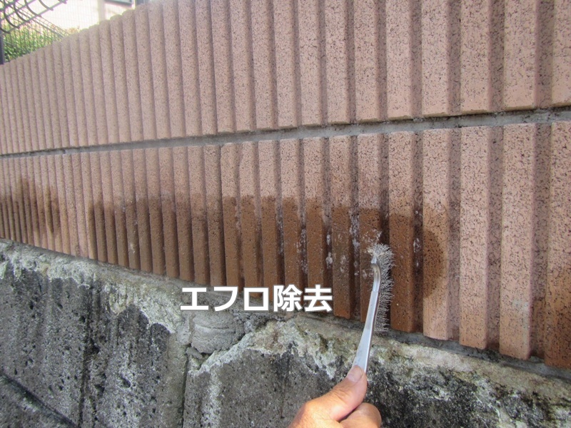 エフロ除去
