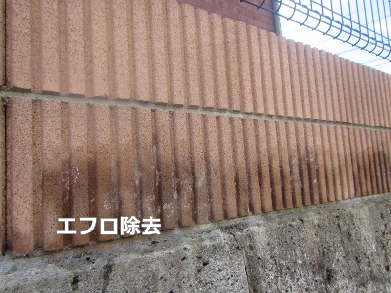 エフロ除去