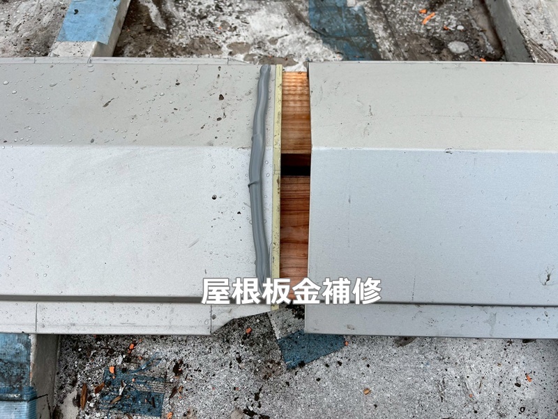 屋根板金補修