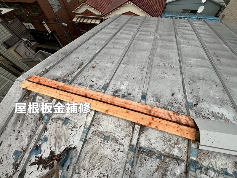 屋根板金補修