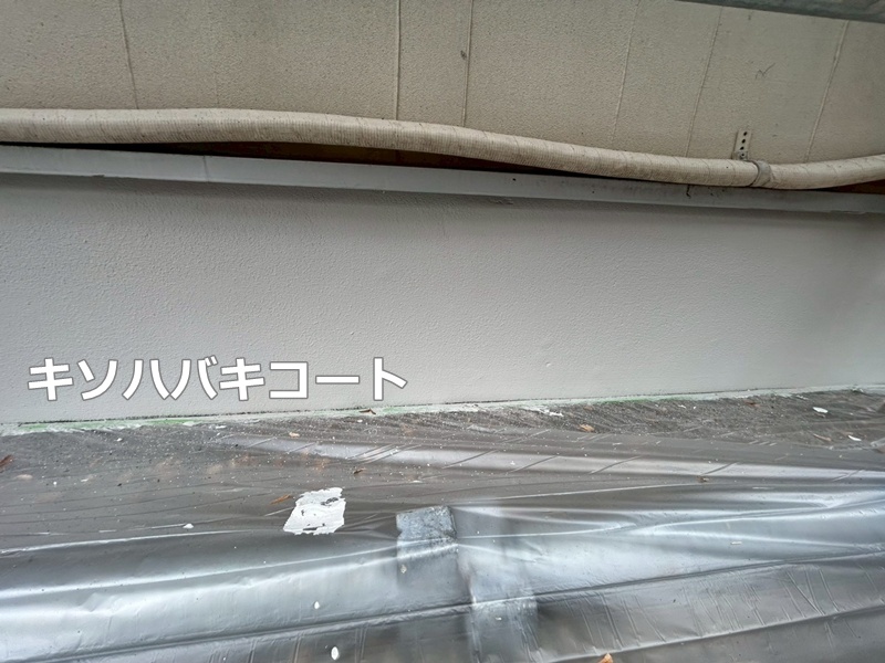 キソハバキコート